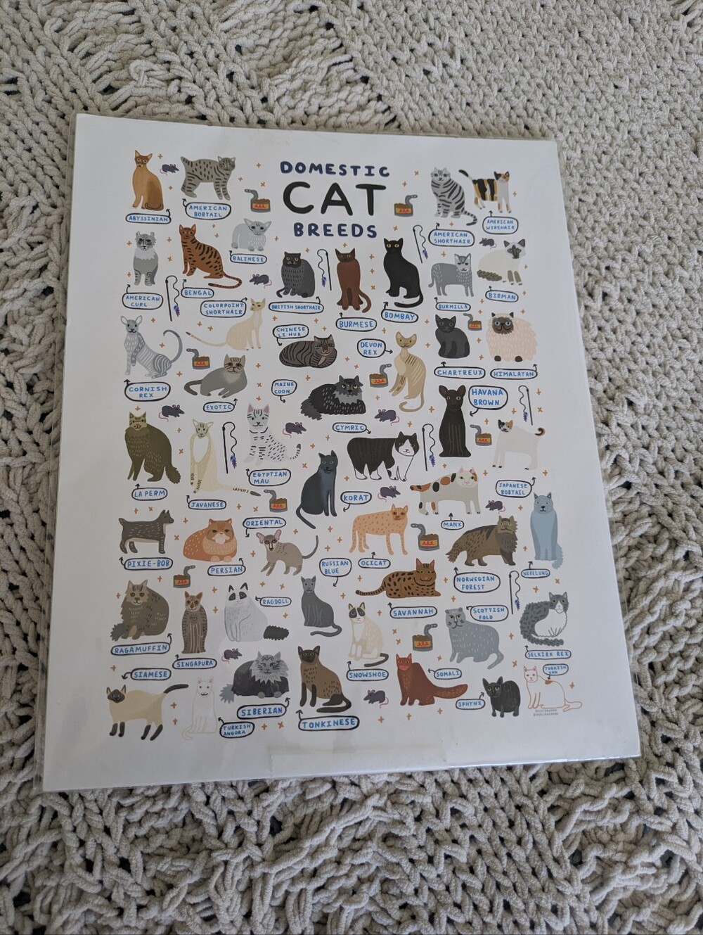Domestic Cat Breeds Mini Poster